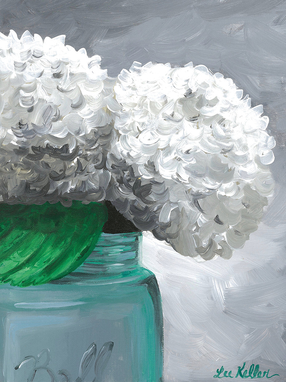 Hydrangea Grannies Garden 1