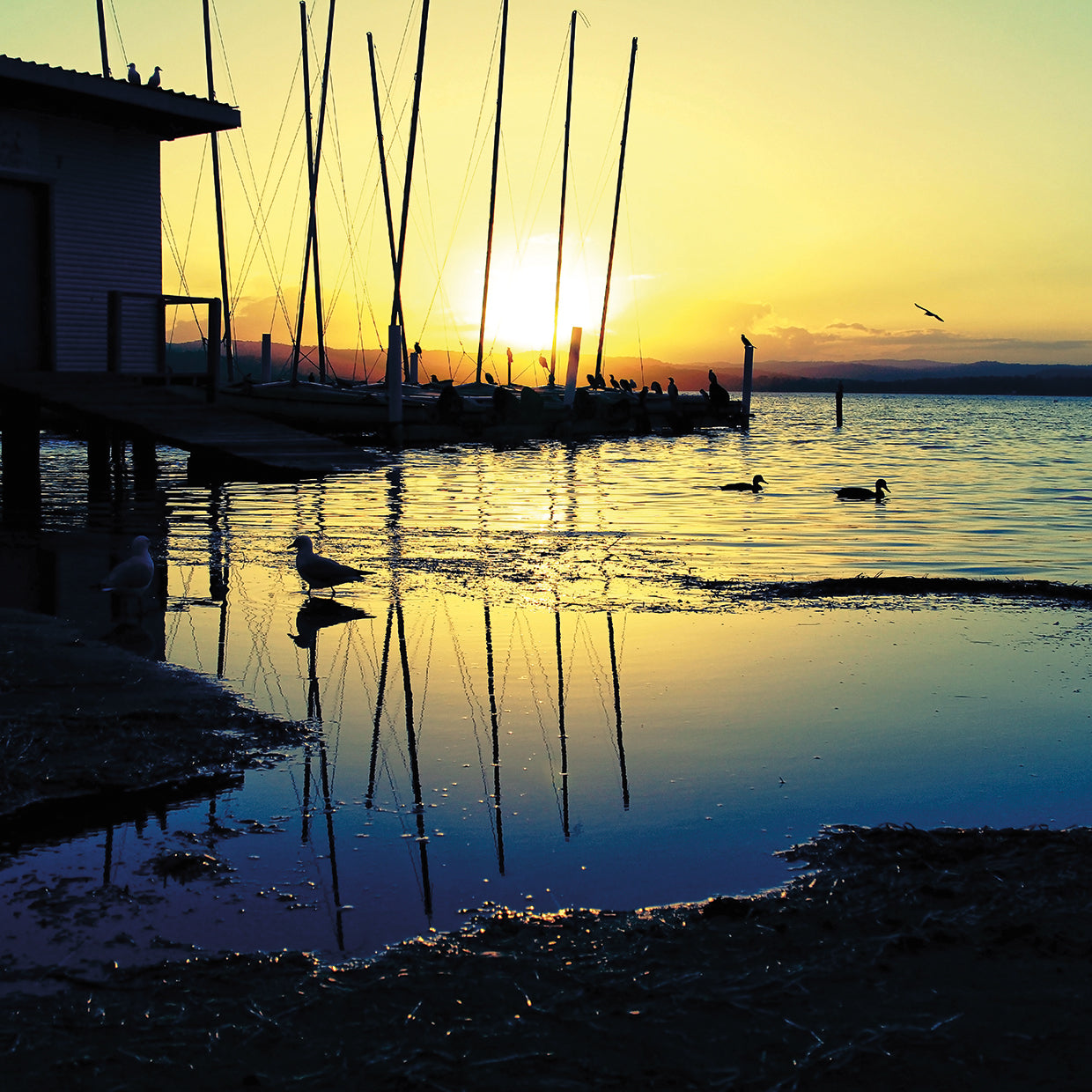 Sunset Conversations