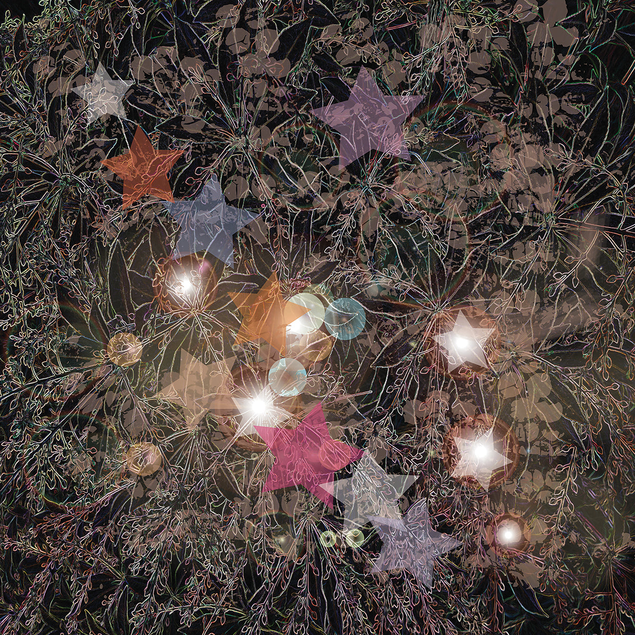 Botanical and Star Pattern