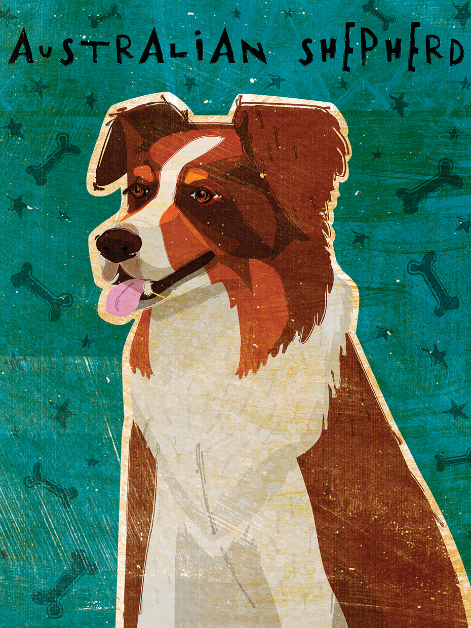 Australian Shepherd Red