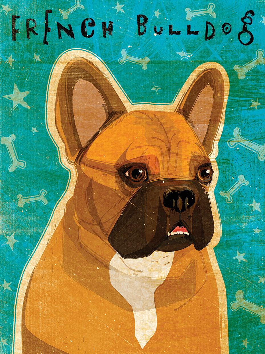 French Bulldog Fawn & White