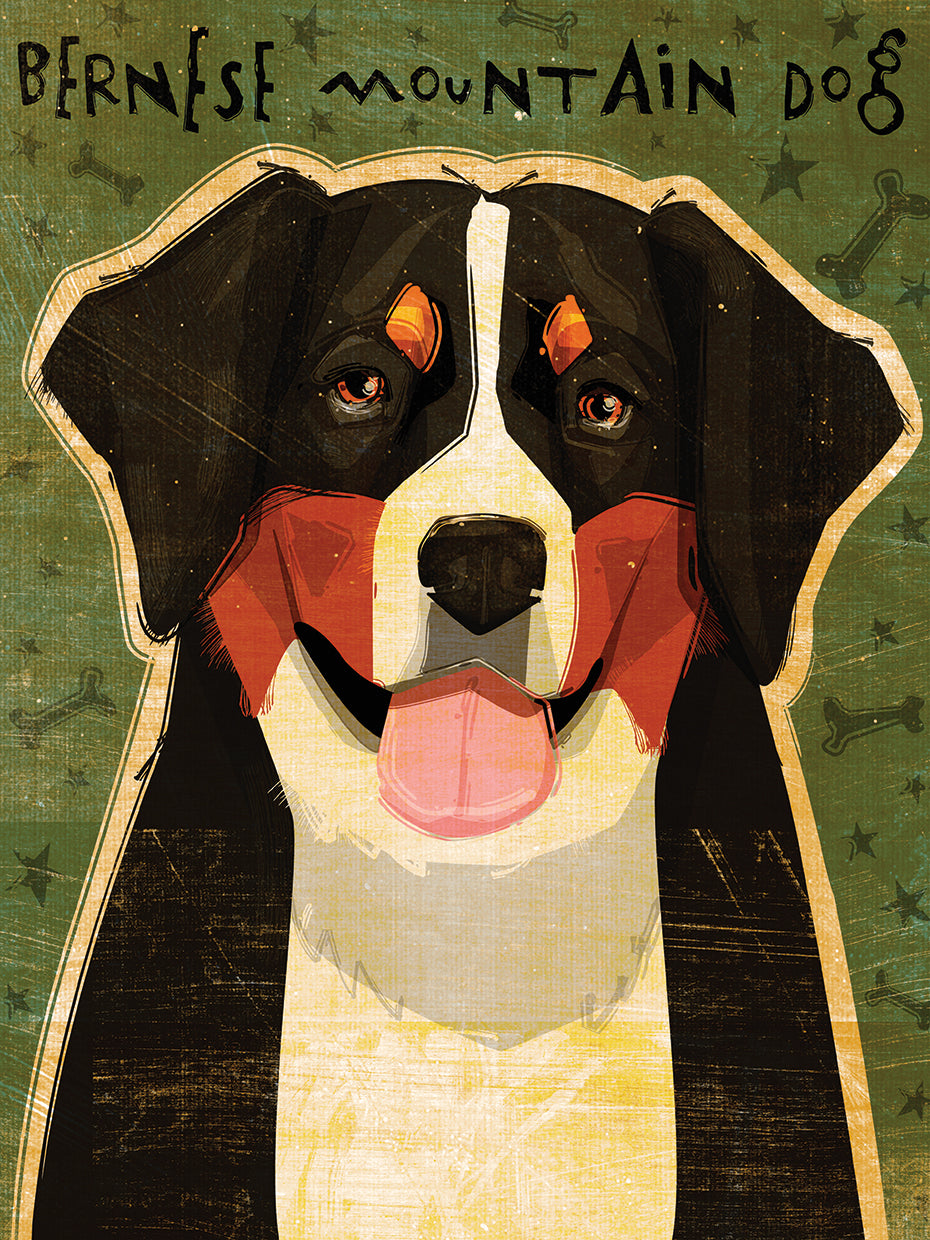 Perro de montaña bernés Lienzo