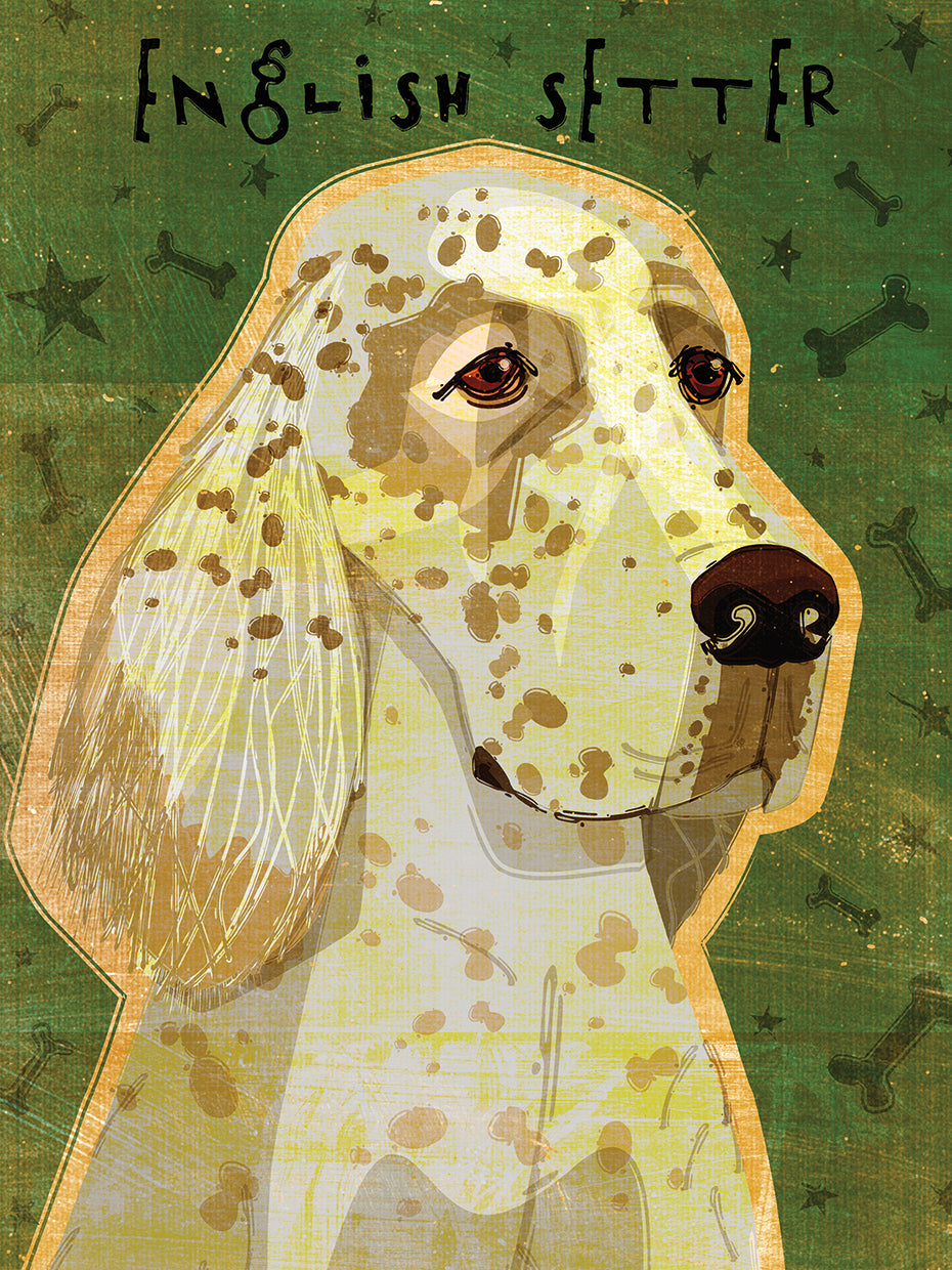 English Setter