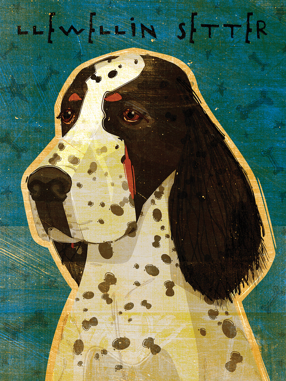 Llewellin Setter