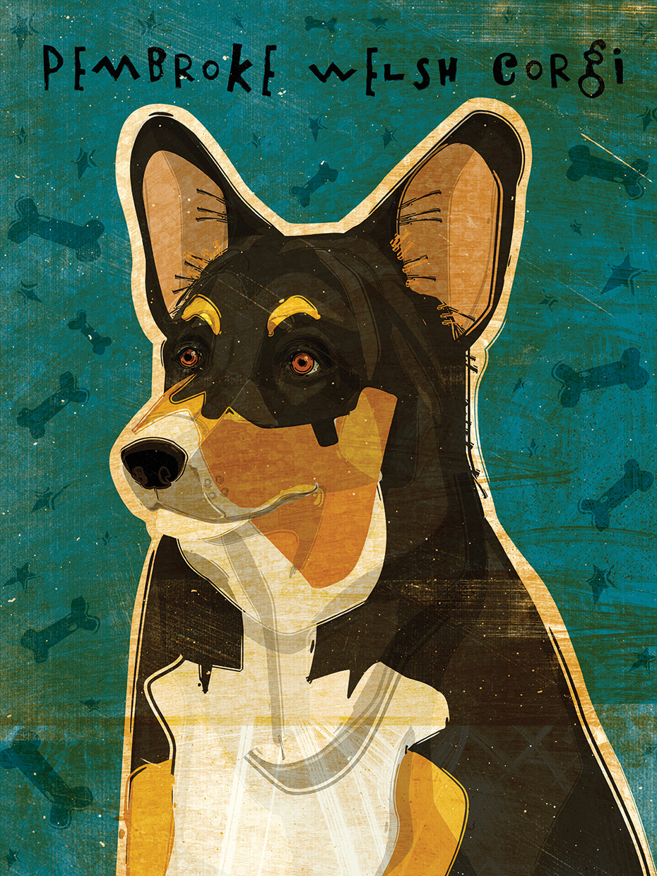 Pembroke Welsh Corgi - Tri-Color