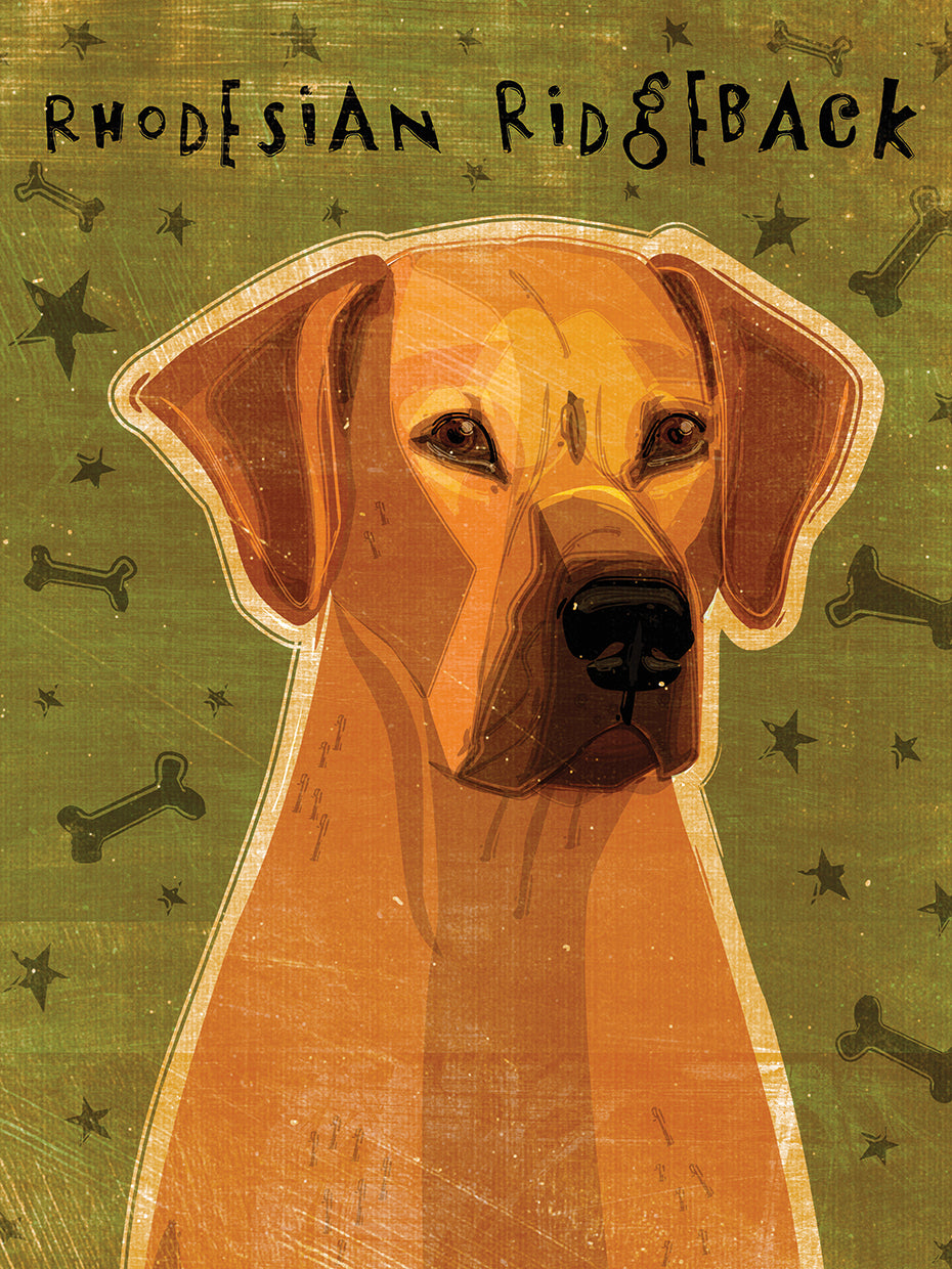 Rhodesian Ridgeback