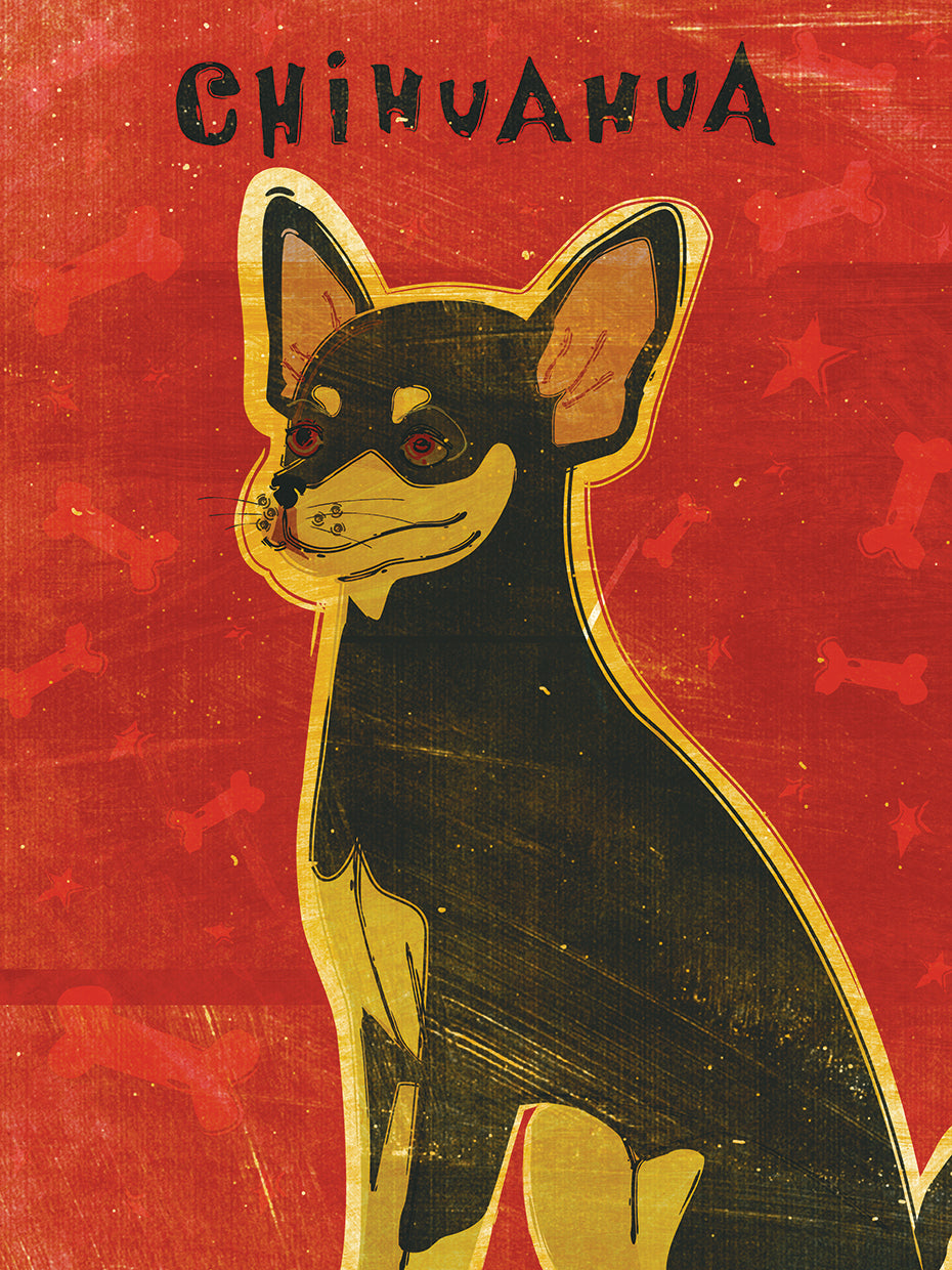 Chihuahua (black and tan)