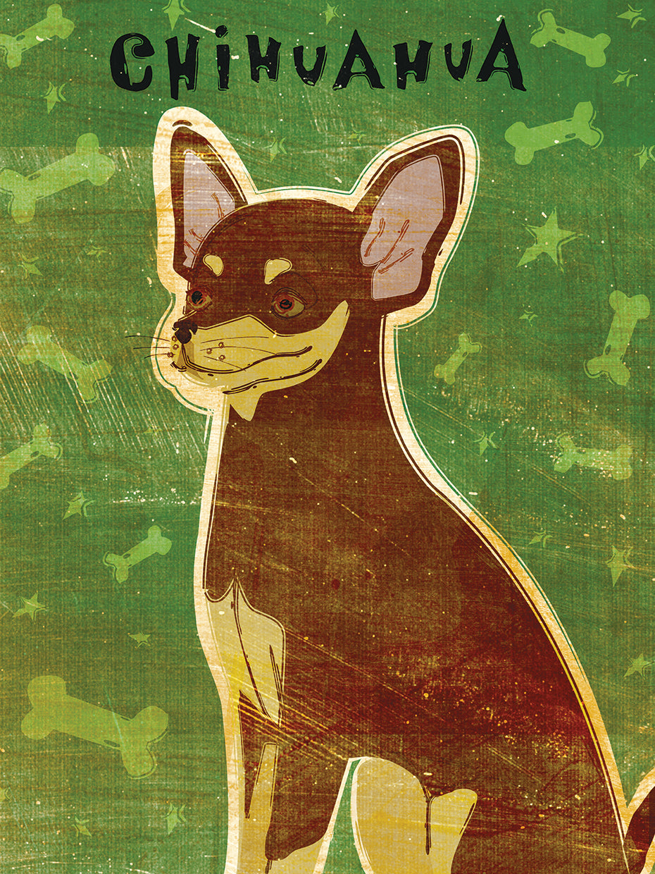 Chihuahua (chocolate and tan)