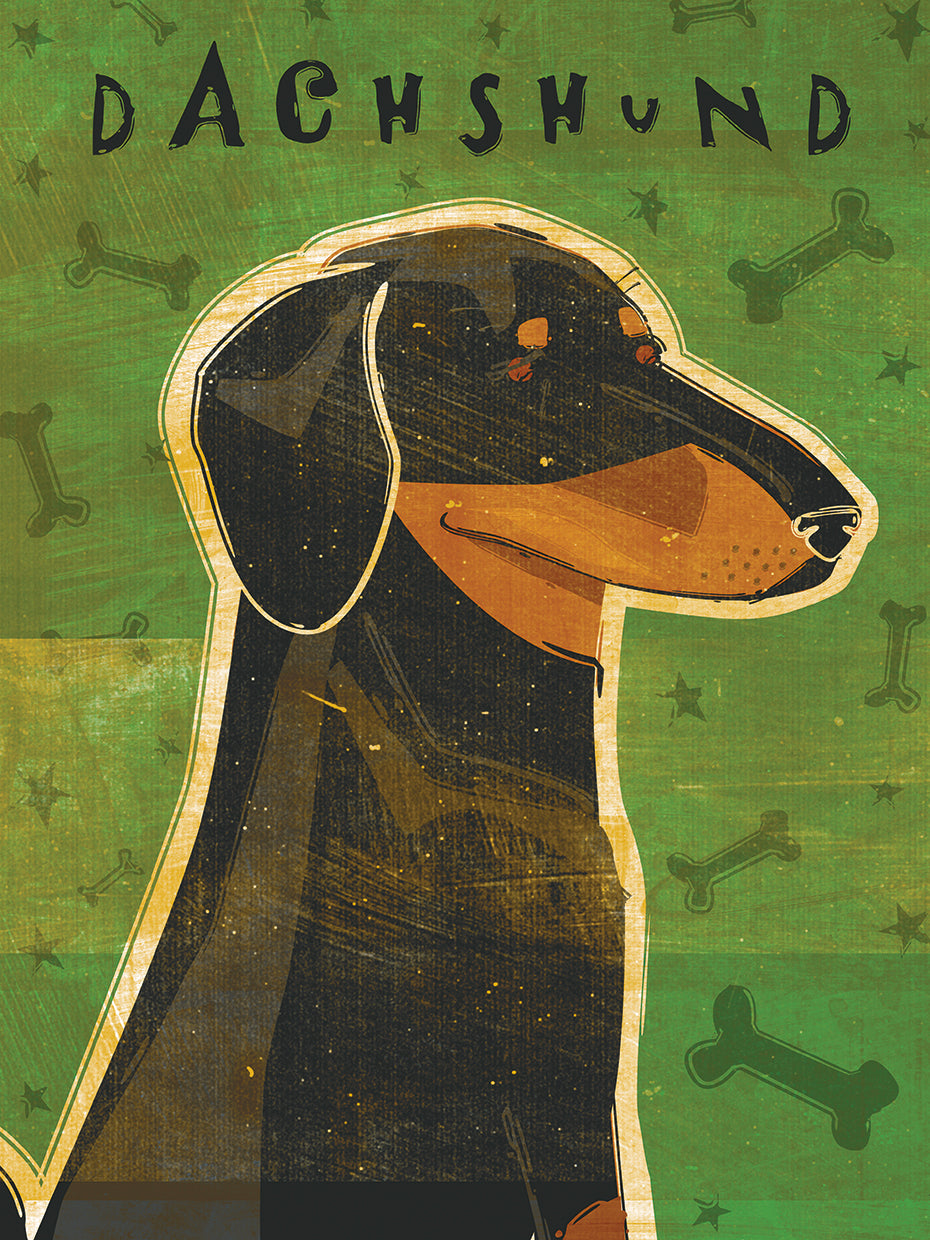 Dachshund (black and tan)