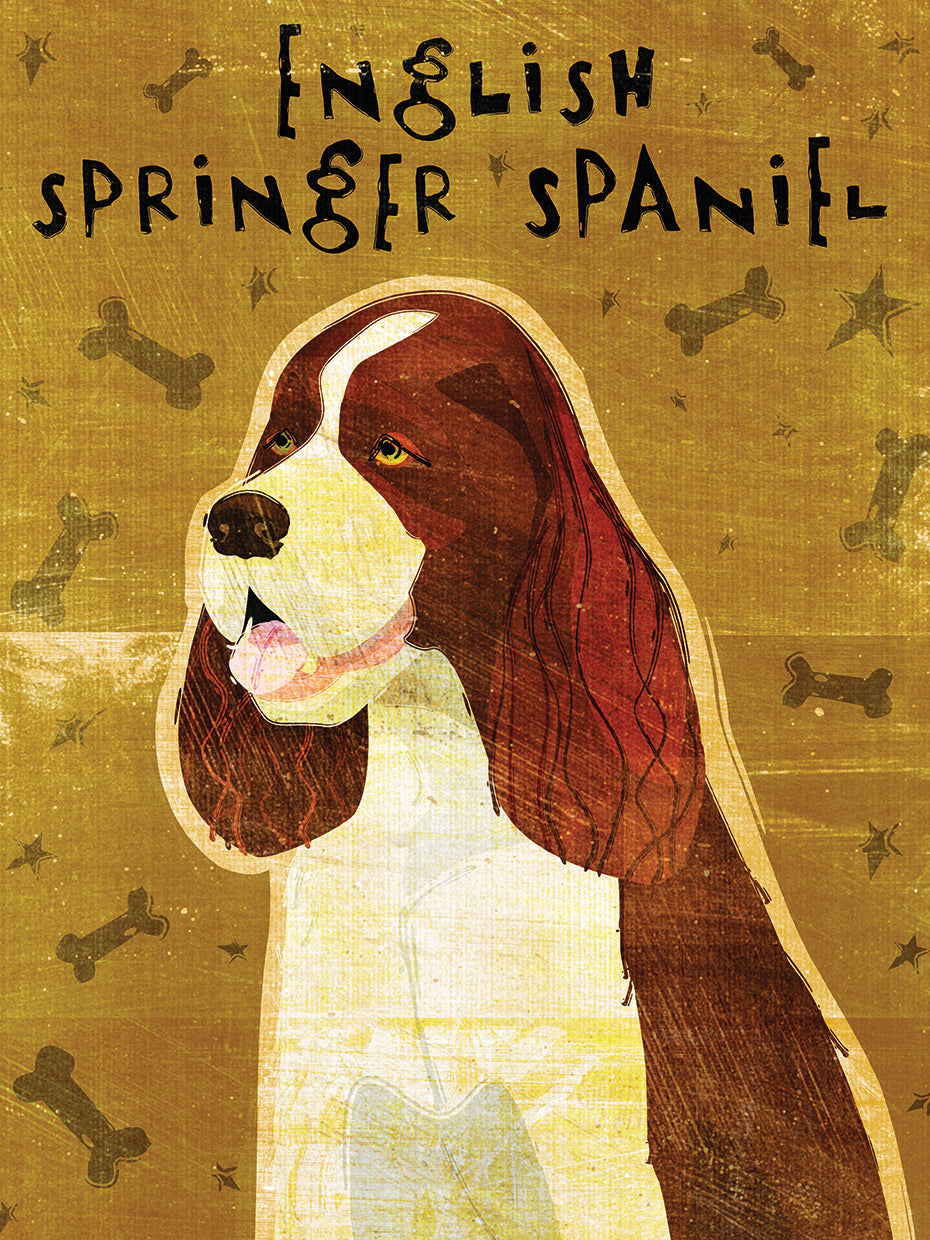 Springer Spaniel Inglés Lienzo