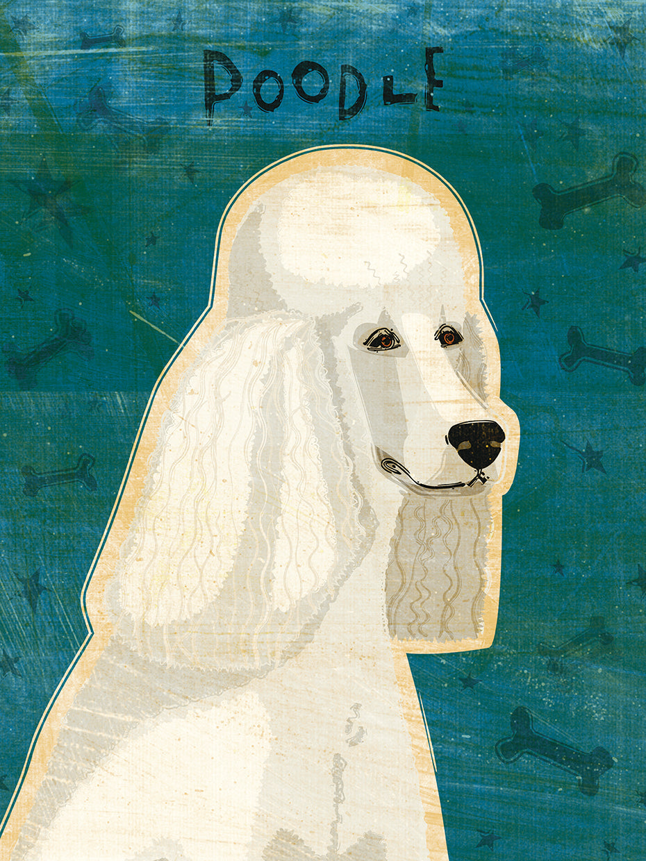 Caniche (blanco) Lienzo