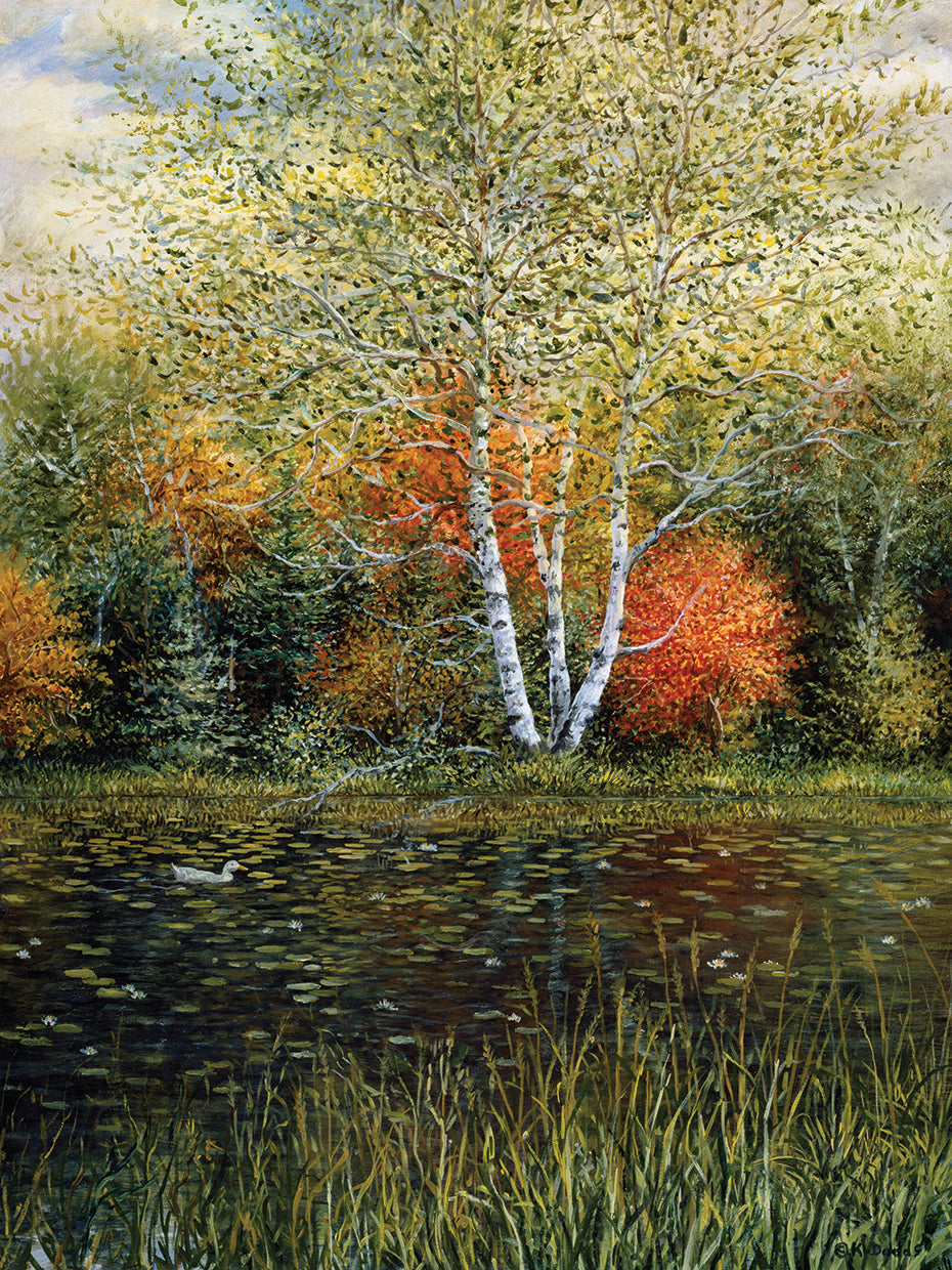 Reflections of Autumn