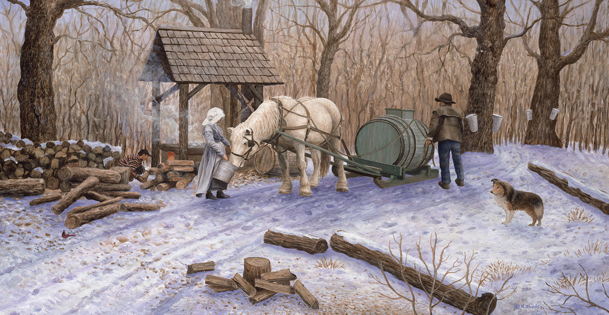 Maple Syrup Time by Kevin Dodds