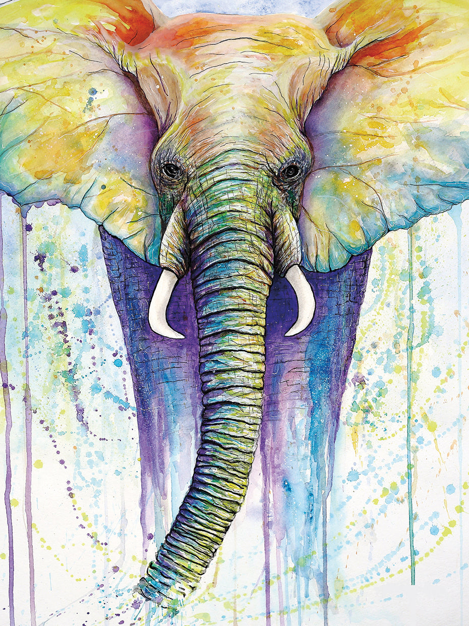 Elephant Colors