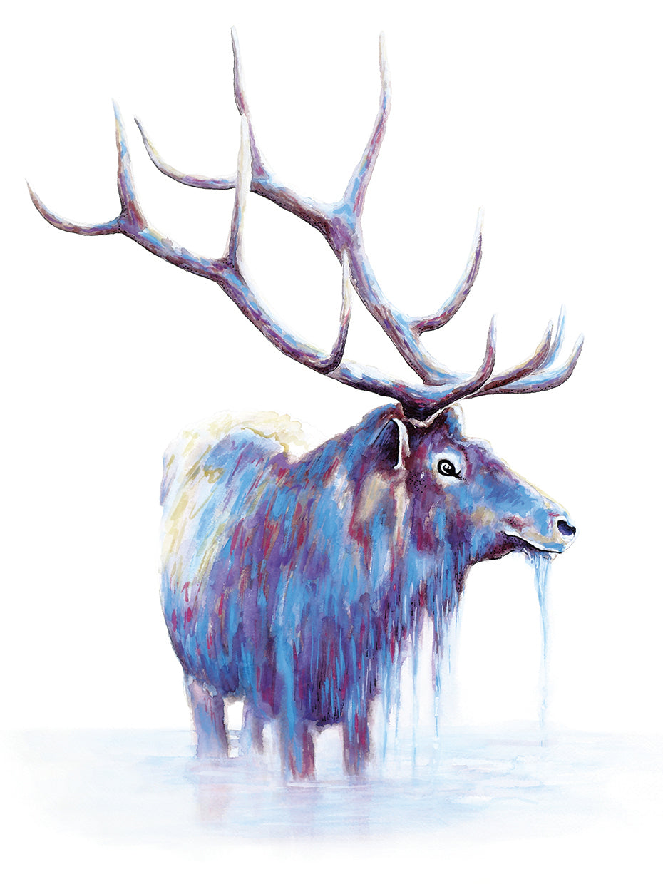 Elk in Water
