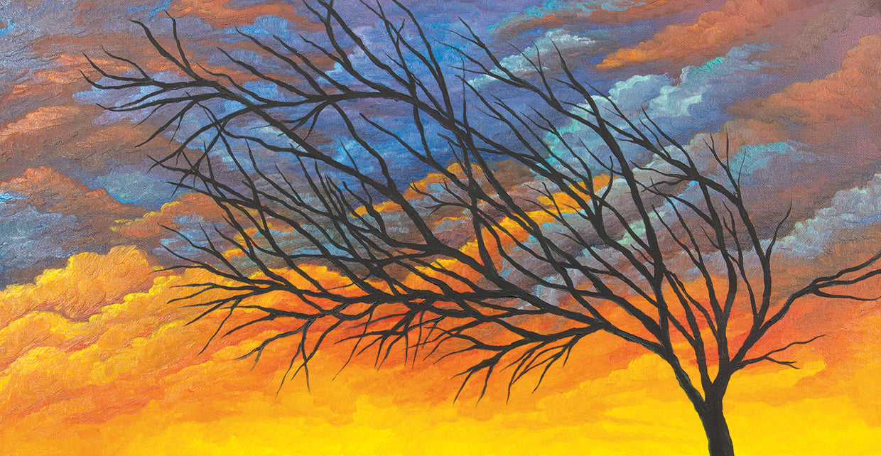Sunset Tree