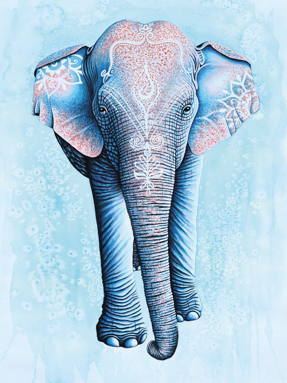 Painted Asian Elephant