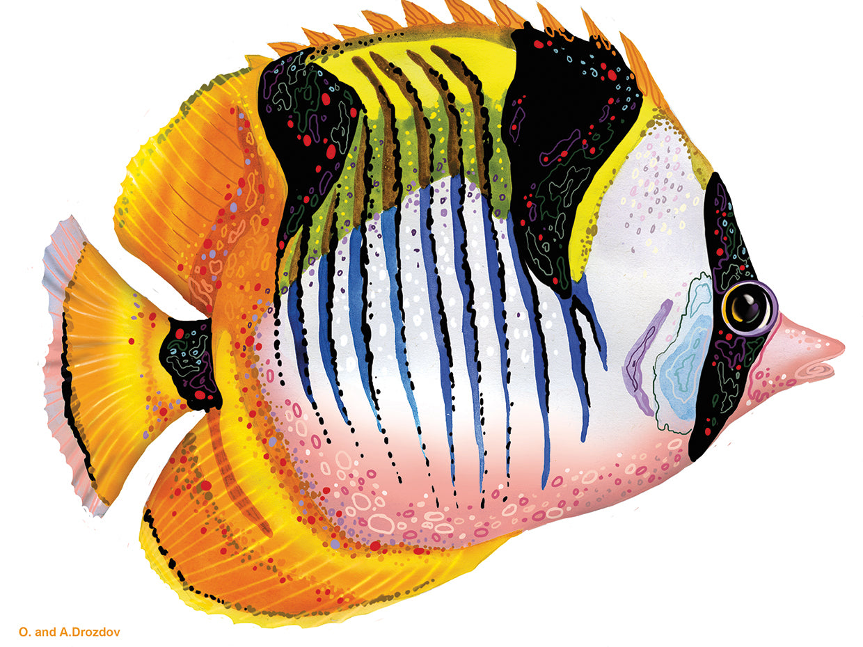 Pescado 1 Rojo-Amarillo Lienzo