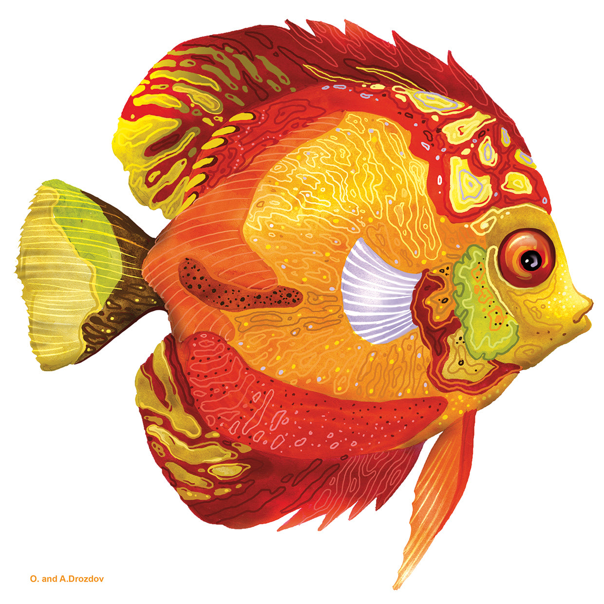 Pescado 3 Rojo-Amarillo Lienzo