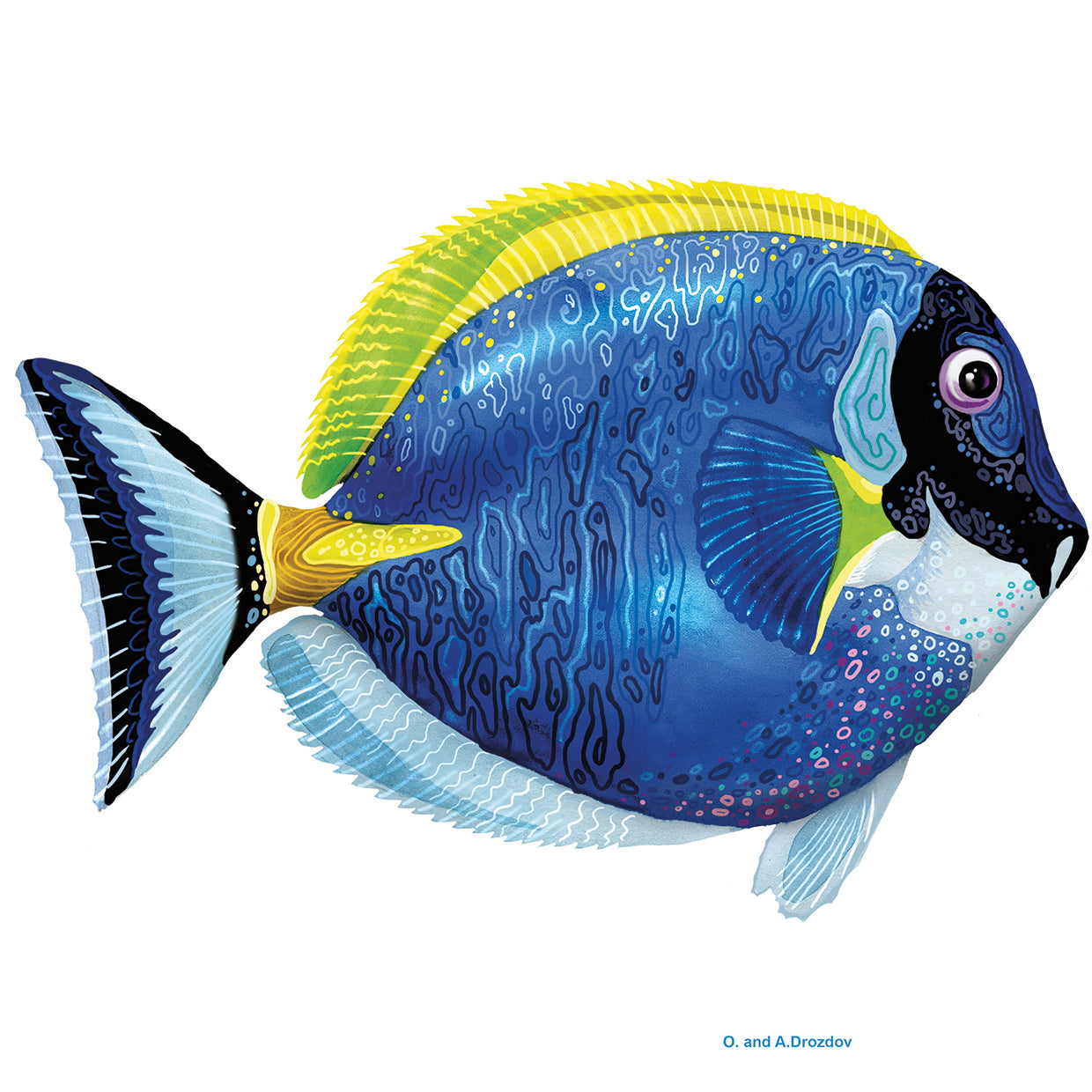 Fish 4 Azul-Amarillo Lienzo