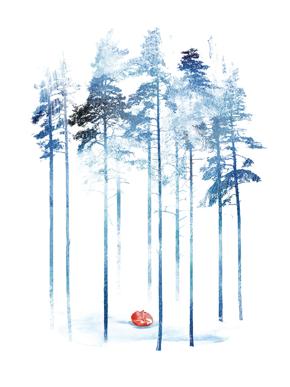 Sleeping In The Woods