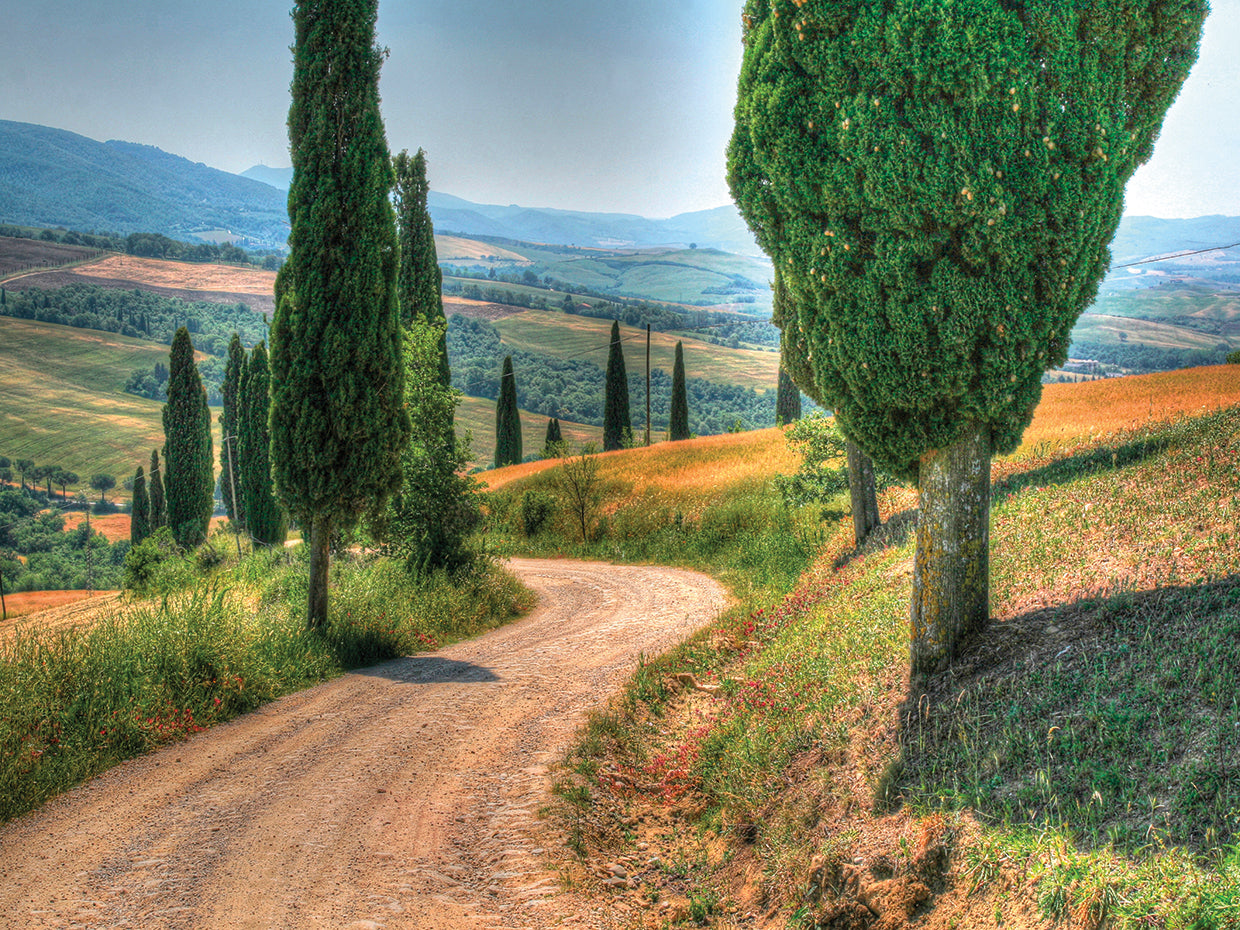 Tuscan Footpath 0392