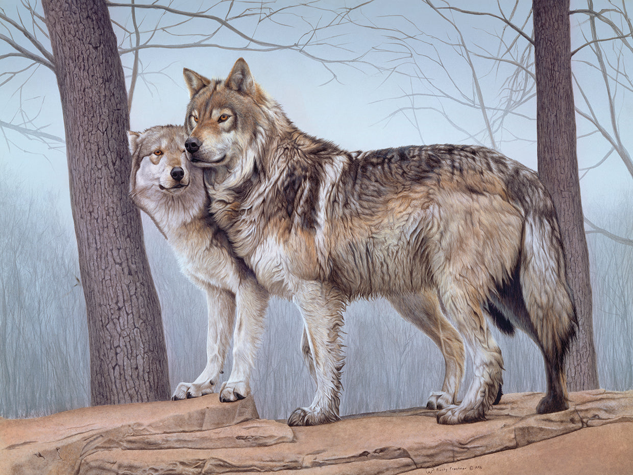Two Wolves
