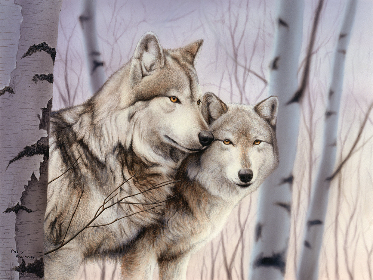 Two Wolves In The Birches