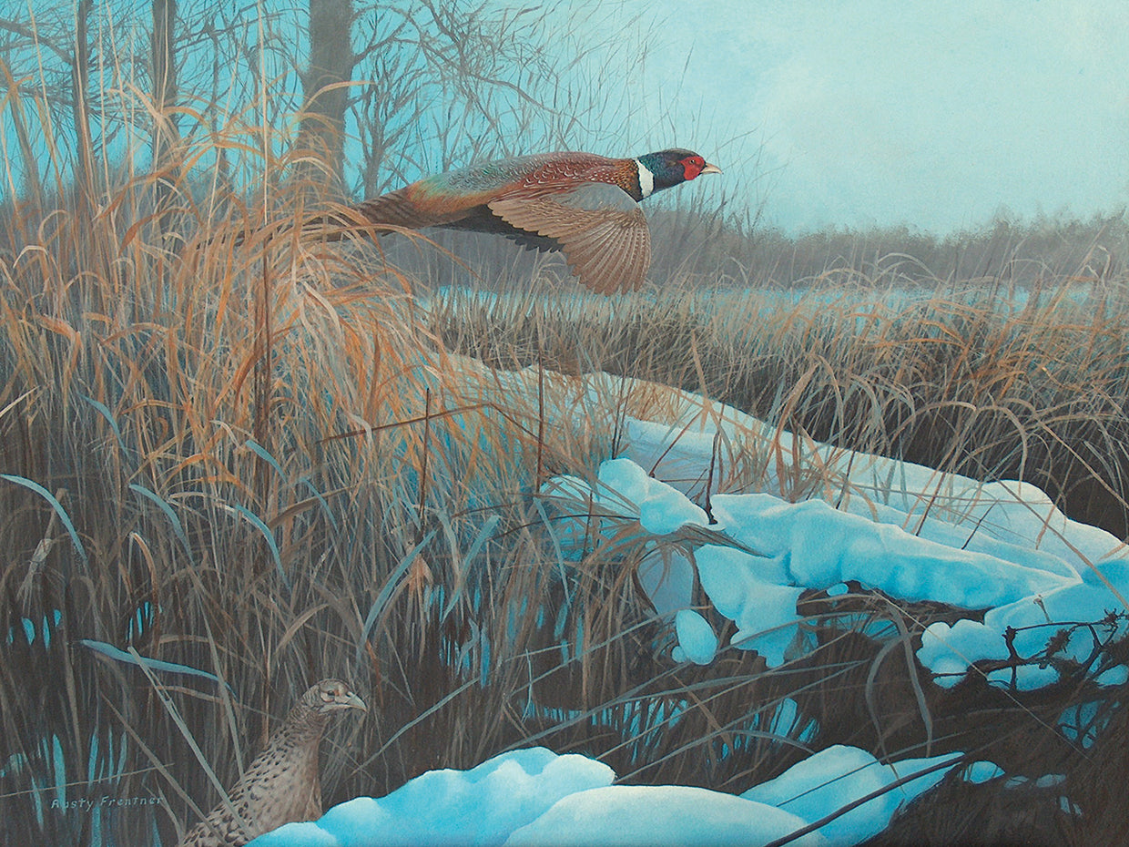 Pheasent Acrylic 67