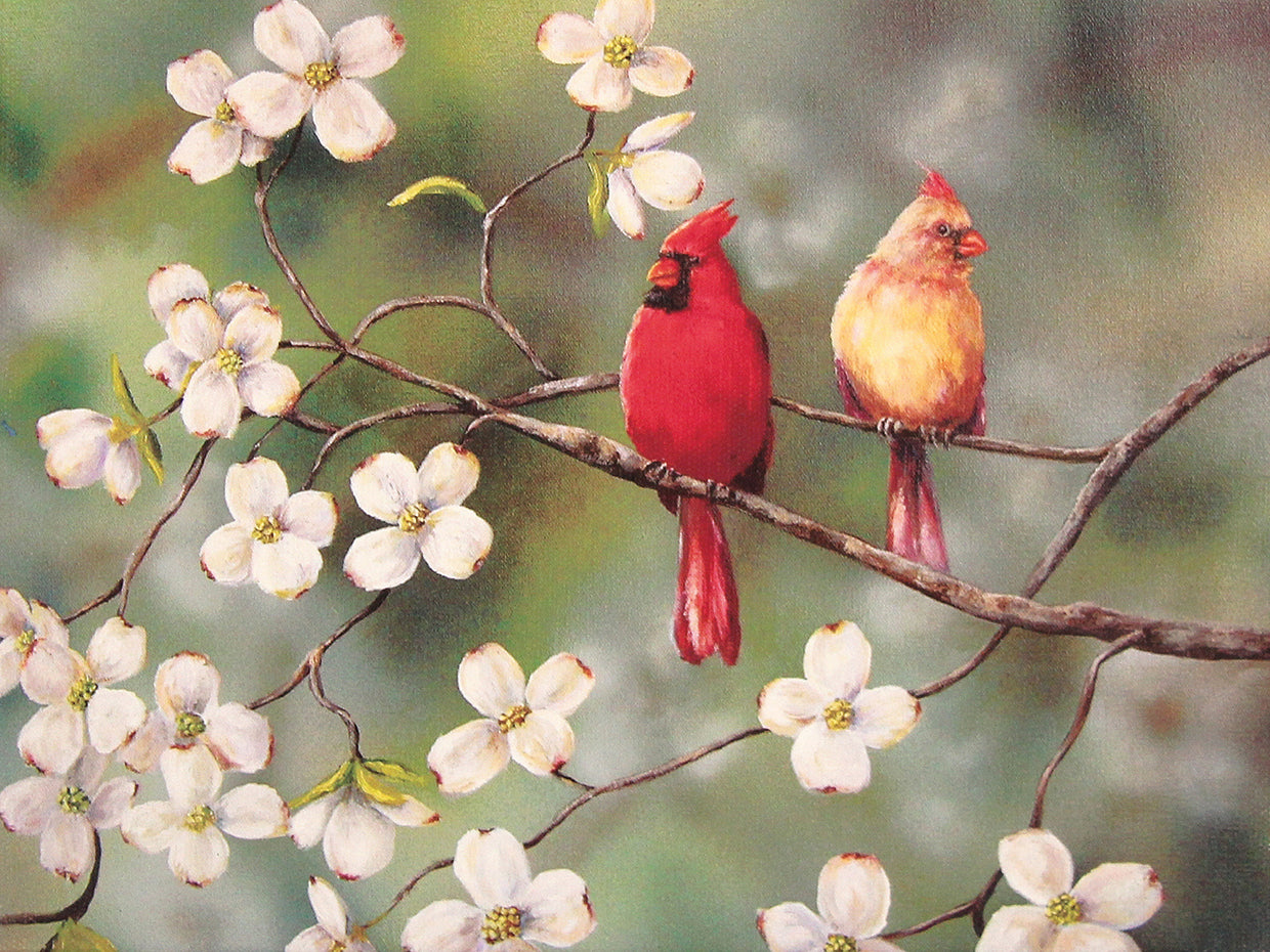 Cardinals