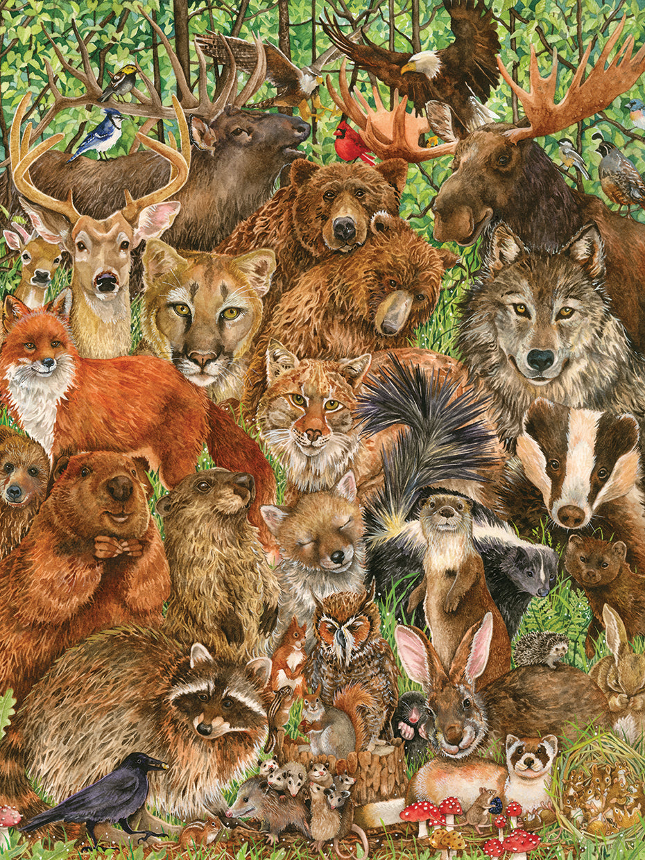 Woodland Mammals