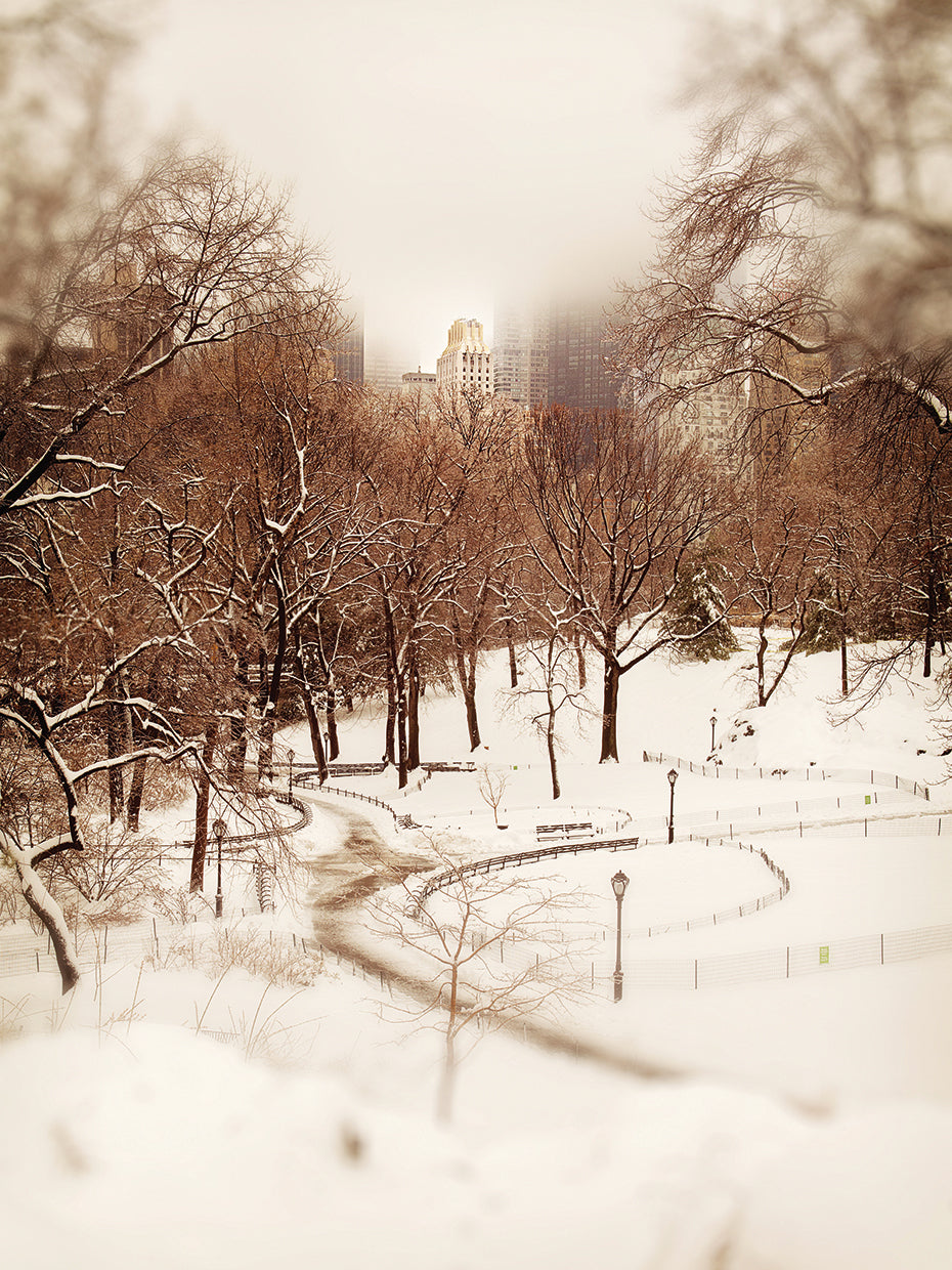 Central Park in Winter