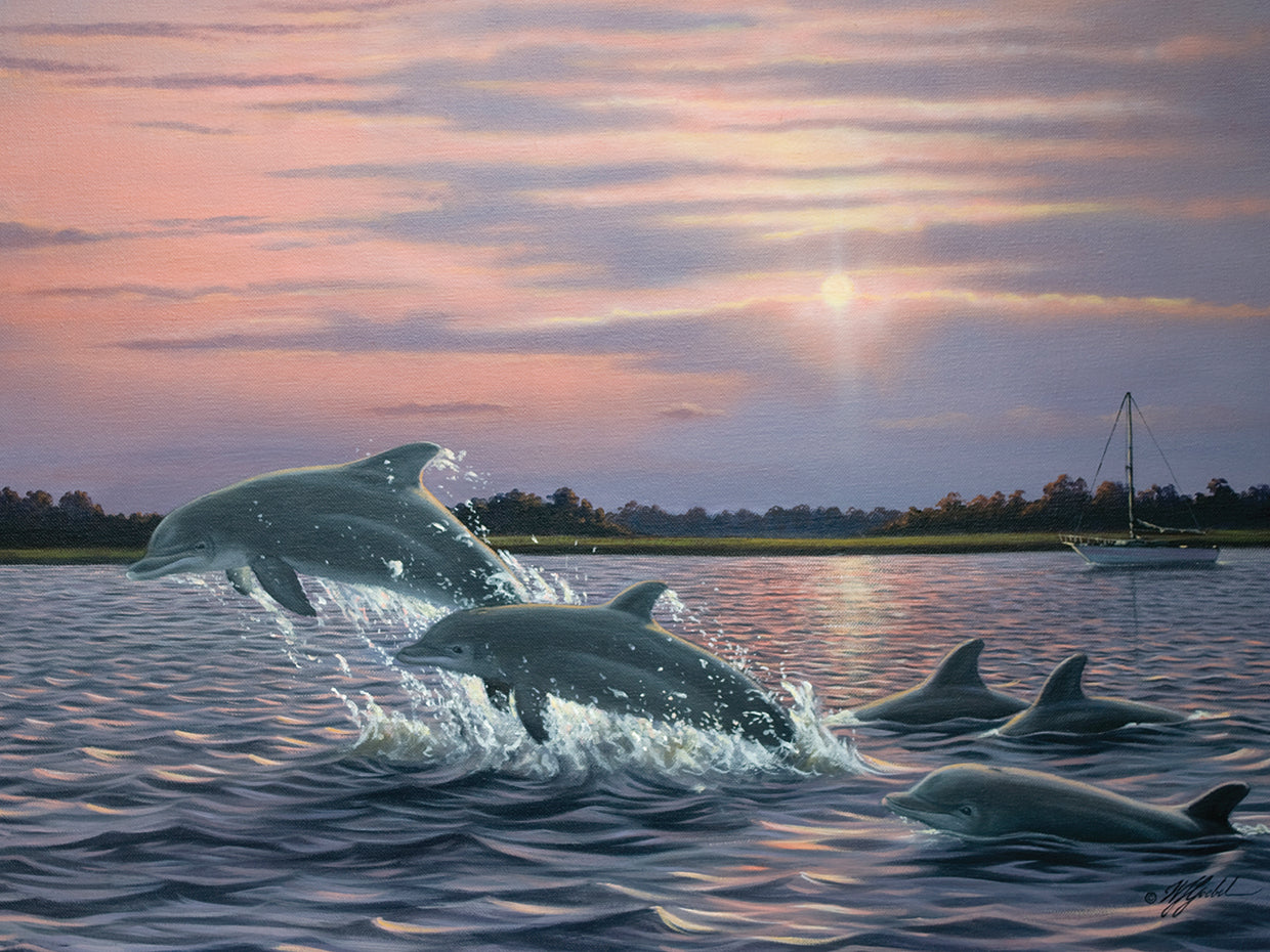 Dolphins