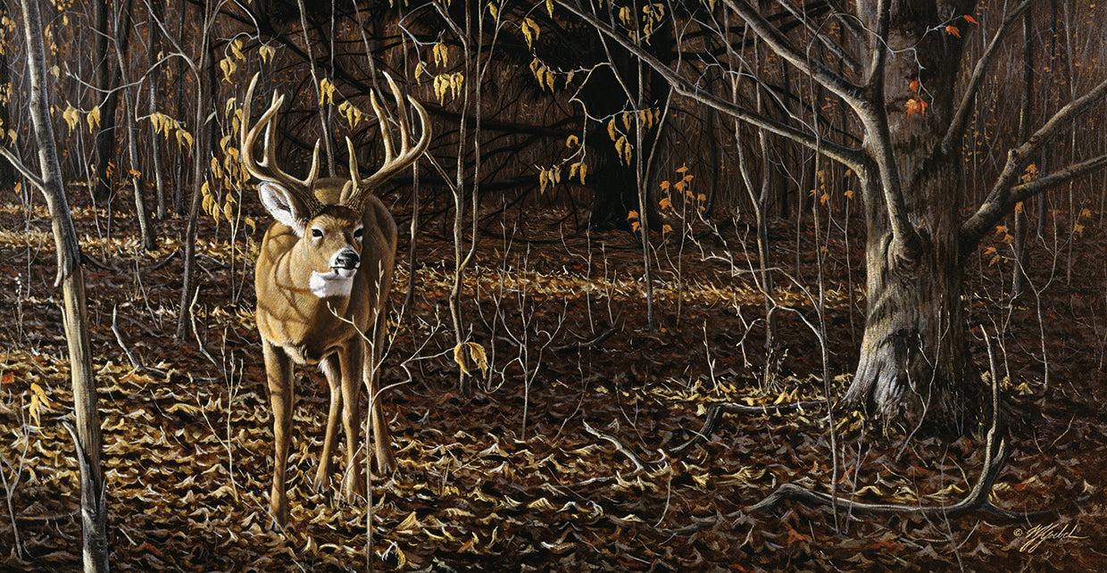 Sneaking Through - Whitetail