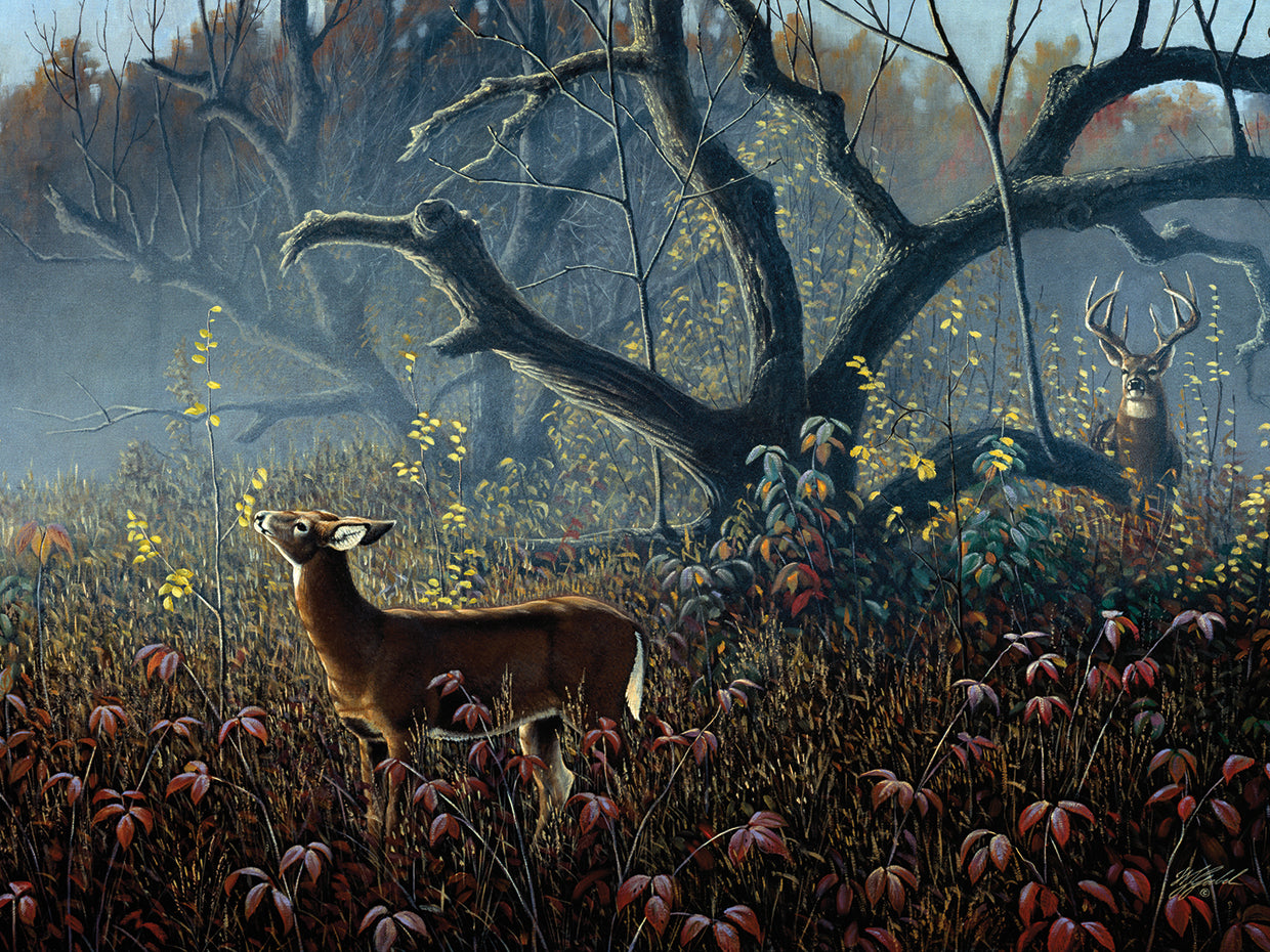 Old Orchard - Whitetails