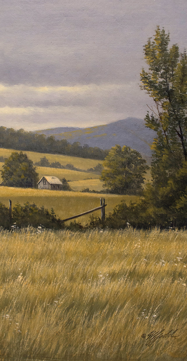 Hayfields Near Arlington