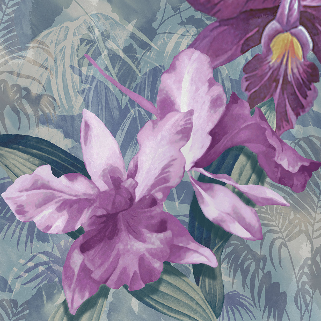 Windsong Orchid Blooms