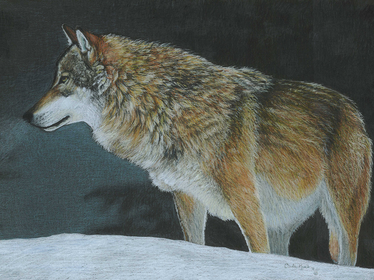 A Cold Winters Night