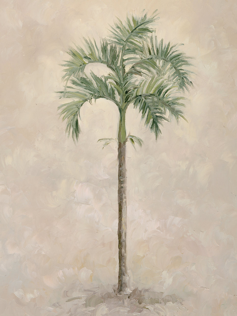 Palm Tree 4