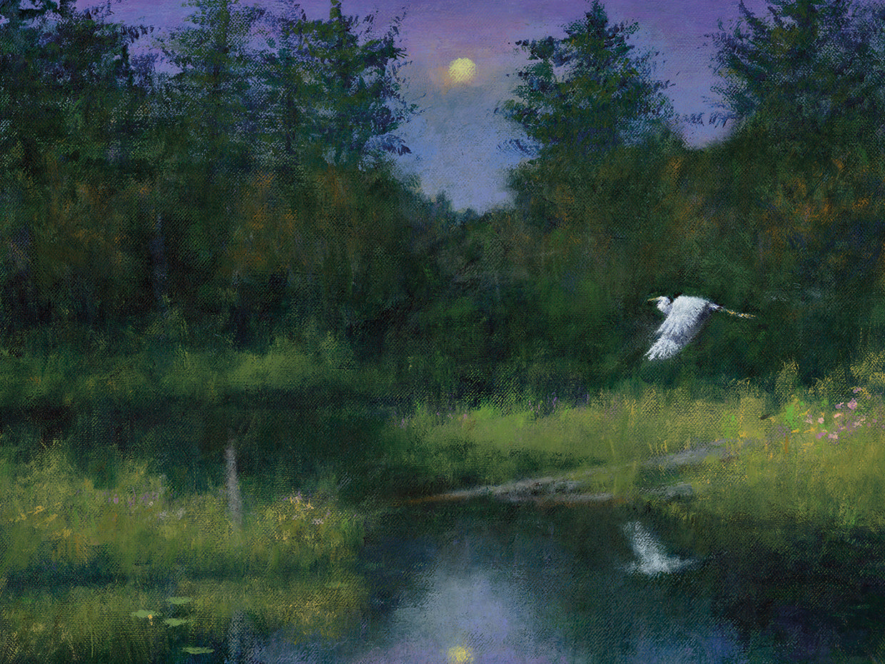 Lienzo Volando sobre el lago