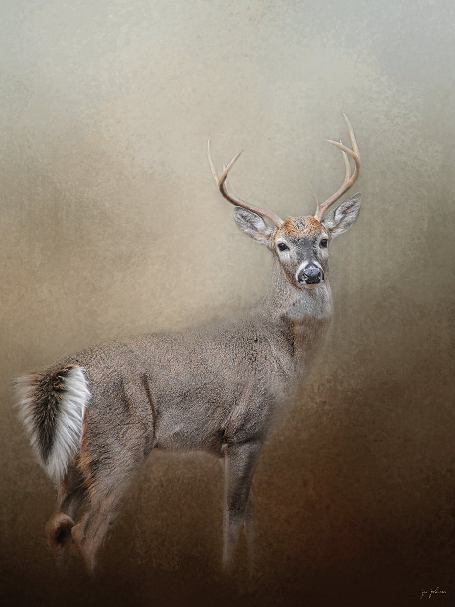 Master Of The Forest