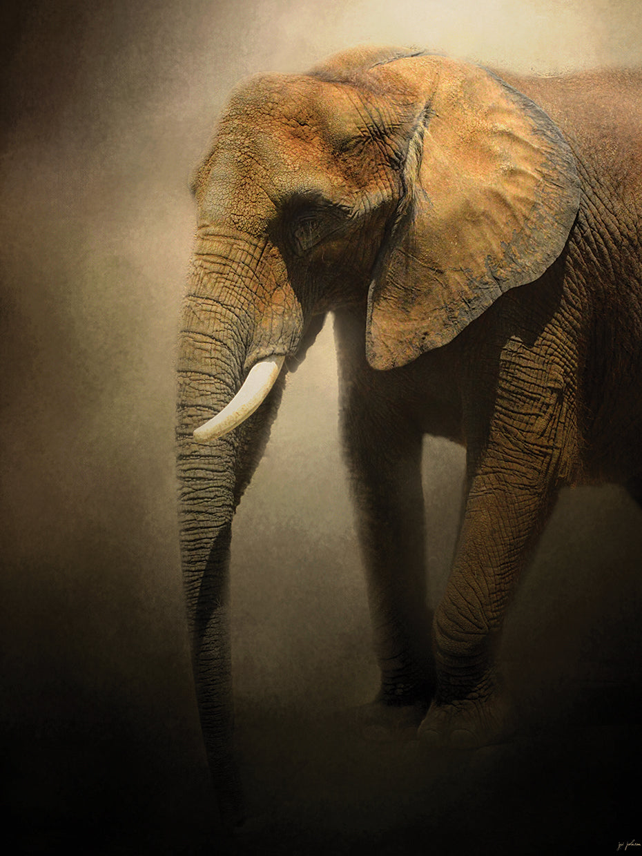 The Elephant Emerges