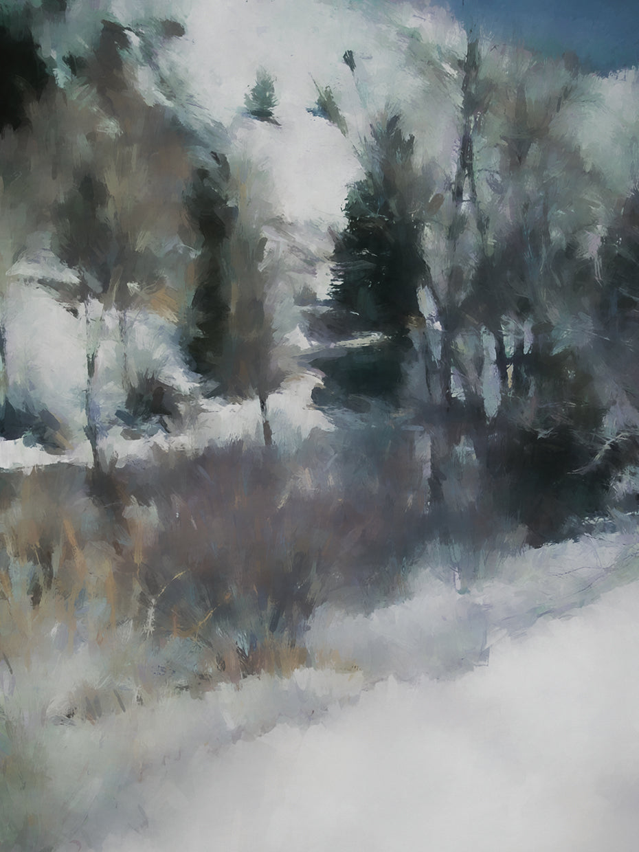 Winter Impressions In Colorado 1