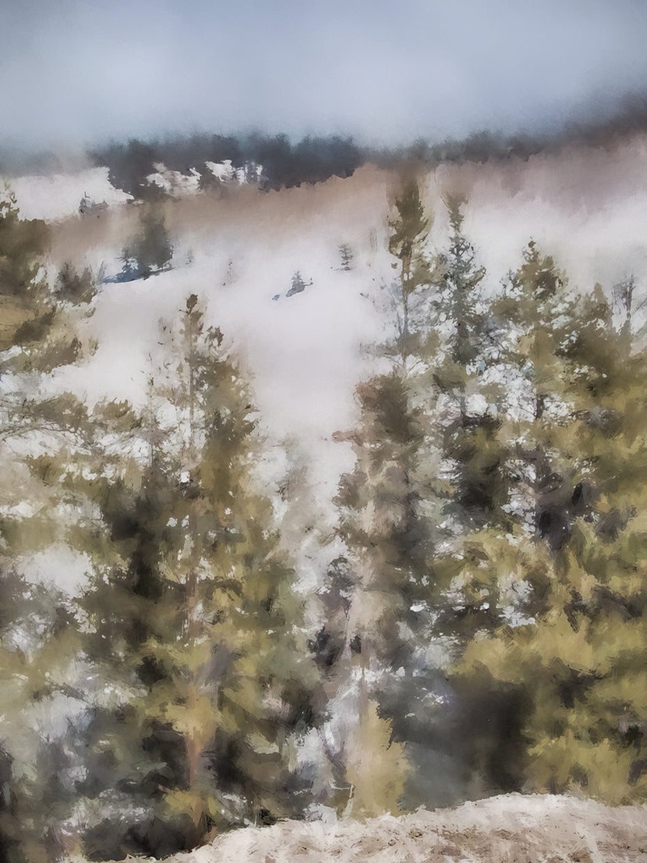 Winter Impressions In Colorado 3