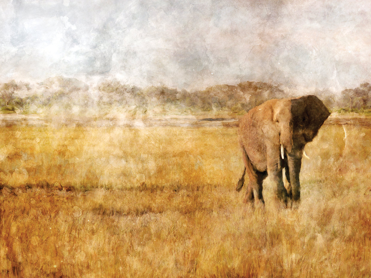 Elefante de la sabana dorada Arte de la lona