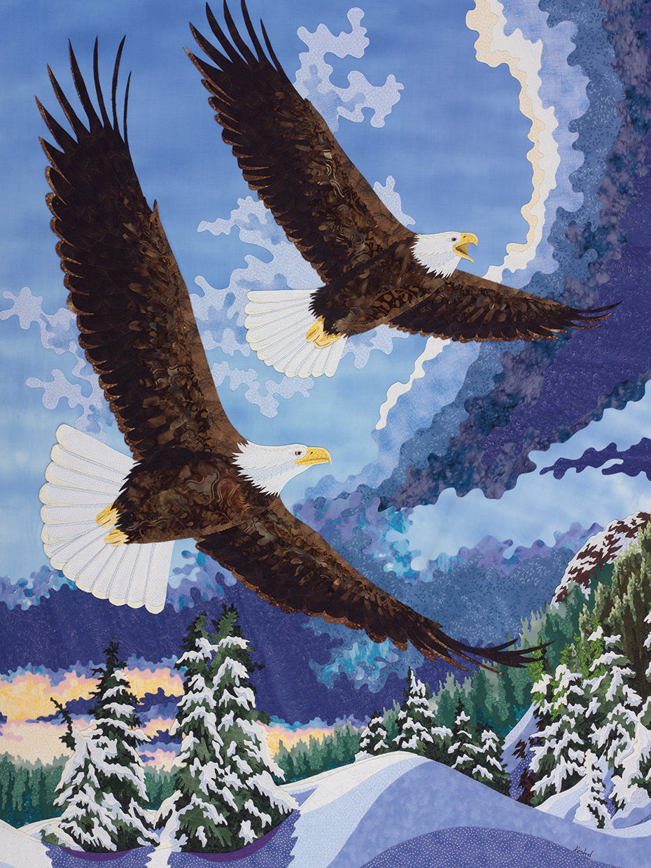 Soaring Over Cloth Mountain