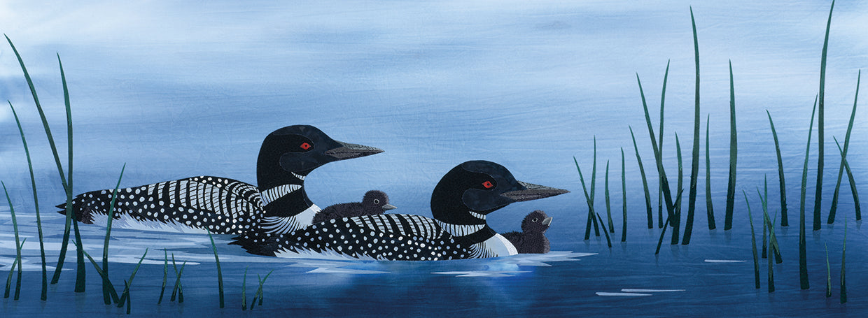 Family of Loons