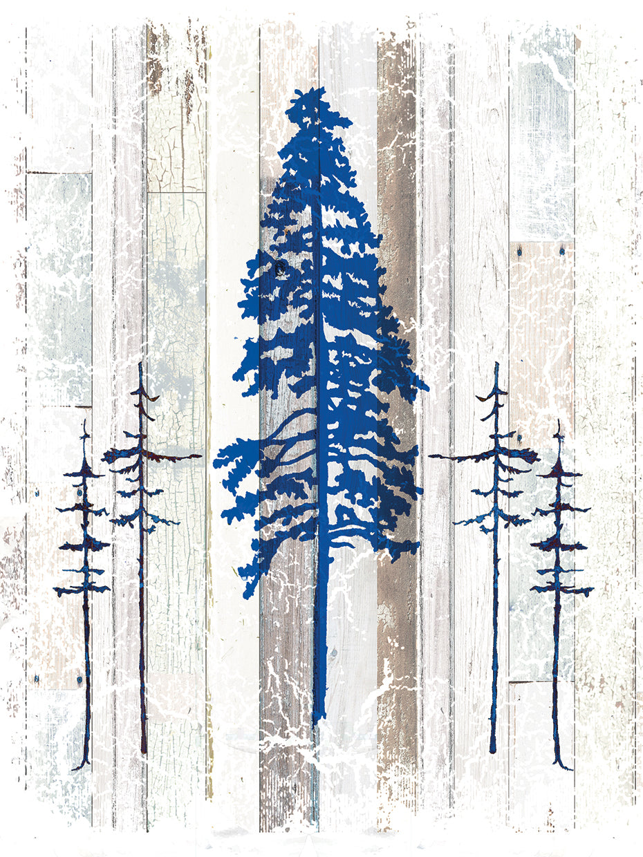 The Blue Moose - Lodge Pole Pine