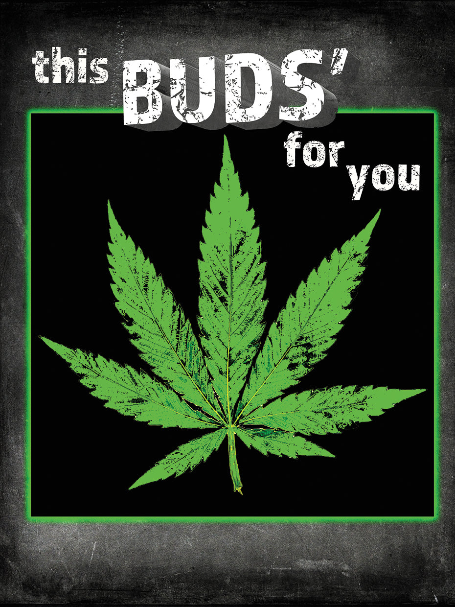 Dorm Room Light It Up This Bud