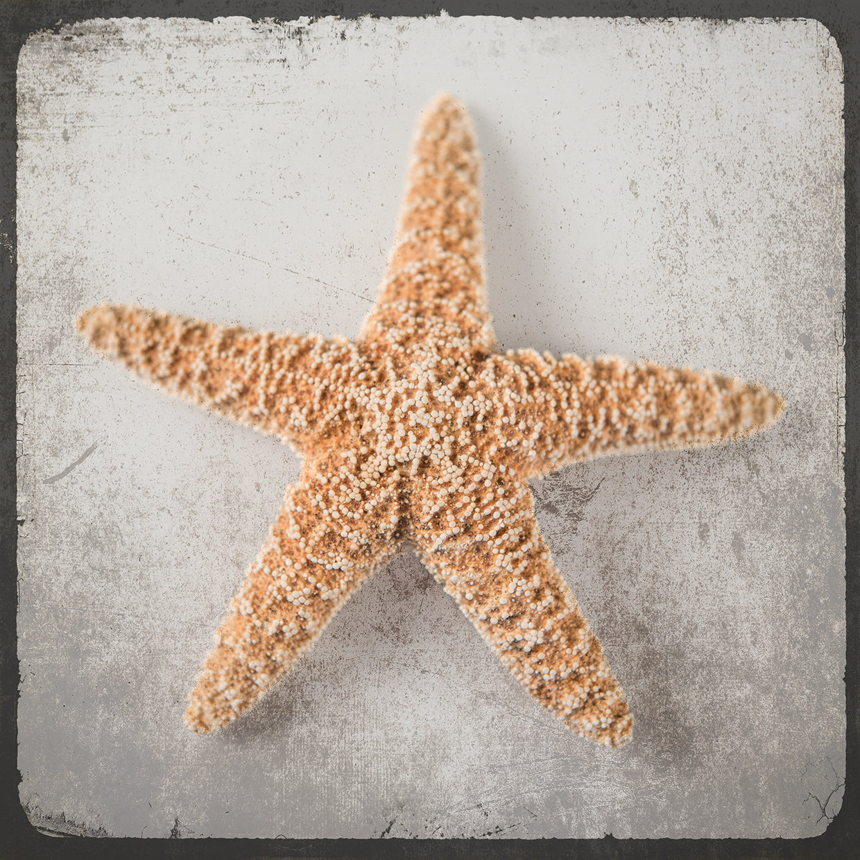 Vintage Natuical Set 3